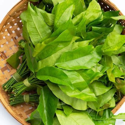 Melinjo leaves (Hanthu) – V-cargt