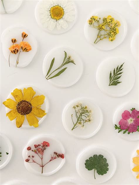 How To Seal Dried Flowers at Vita Patricia blog