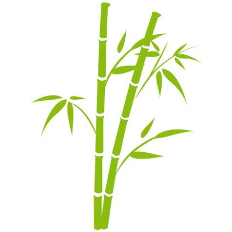 Bambzi Bamboo Clothing & Yarn – Soft, Eco-Friendly Fabric
