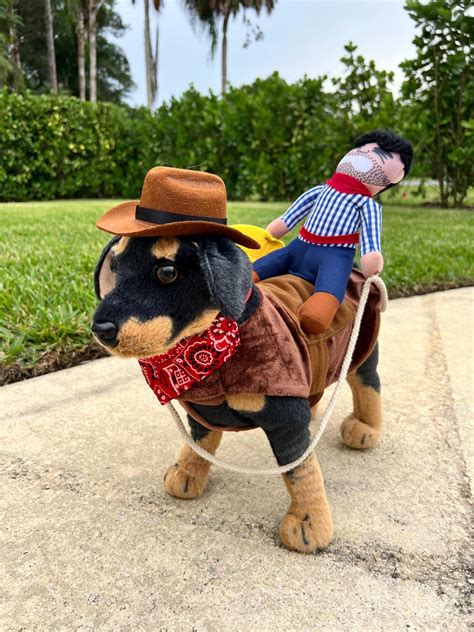 Dog Western Rider Halloween Dress-up Set, Cowboy Dog Costume, Pat ...