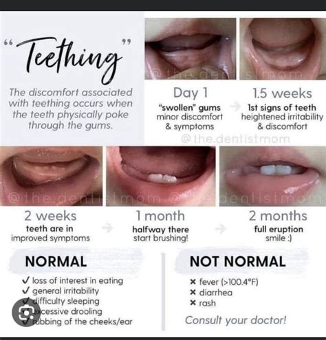 Pinterest | Baby facts, Baby advice, Newborn baby tips