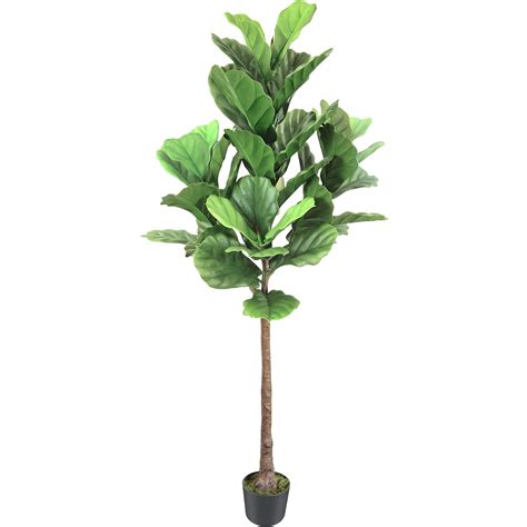 Innoasis Artificial Fiddle Leaf Fig Tree 6FT Tall Fake Plant Faux ...