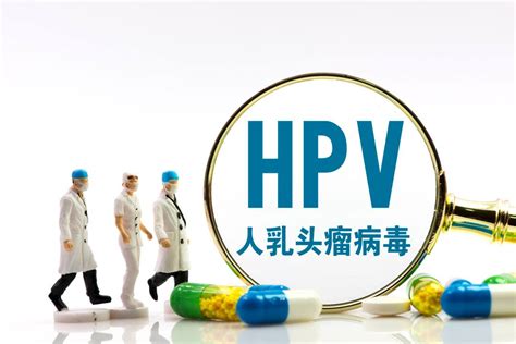 用公共卫生间会感染HPV？你怕是对HPV有什么误解 - 动态 - 新湖南