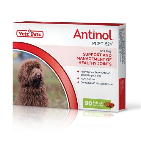 What is Good Arthritis Medicine For Dogs? | by Thomas Arlo | Medium