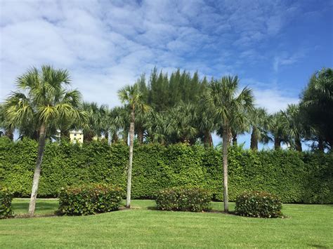 Lowdermilk Beach Park