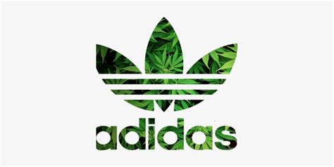 Image result for Website with Flutter Code Example