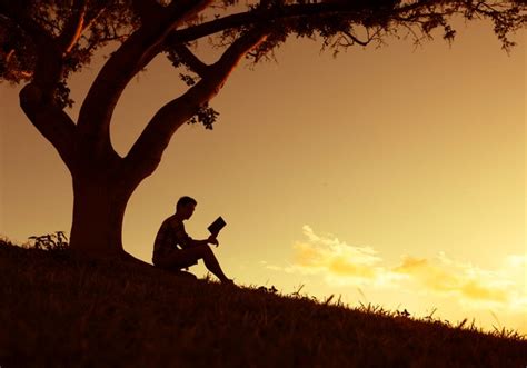 Reading Under a Tree 的图像结果