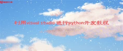 Python Und Visual Basic 的图像结果