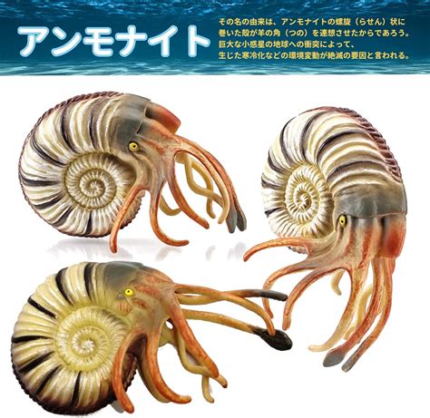 Buy UTST Parrot Guy Figure Ammonite Parrot Guy Seashell Ammonite Toy 6 ...