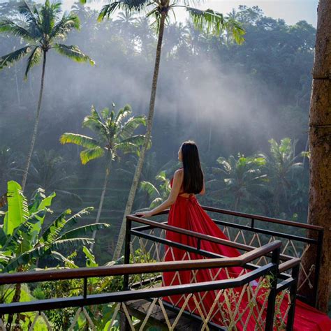 Day Tour Ubud and Mount Batur Jeep Sunrise with Highlight Activities ...