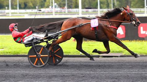 Le sulky américain, mode ou révolution ? | LETROT