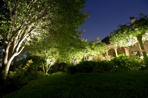 Landscape Tree Lighting 的图像结果