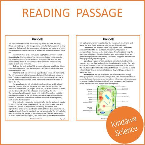 Cells Reading Comprehension Worksheet PDF – PrintableBazaar
