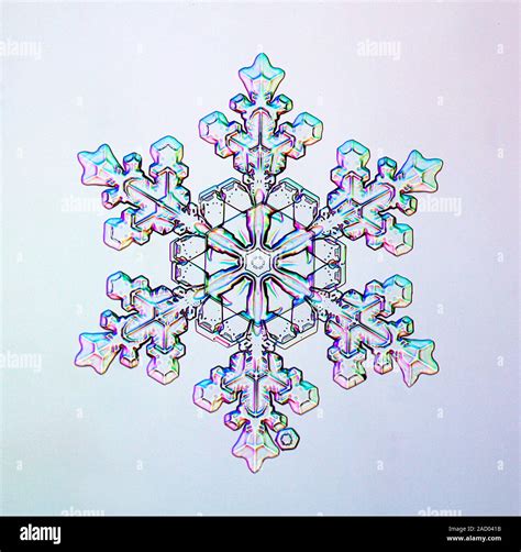 Snowflake. Light micrograph of a stellar dendrite snowflake. Snowflakes are symmetrical ice ...