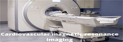 Pericardial adiposity, an independent risk factor of adverse ...