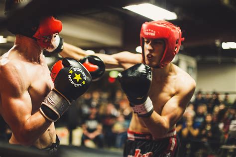 boxing free stream