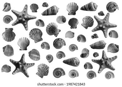 Sea Clip Art 的图像结果