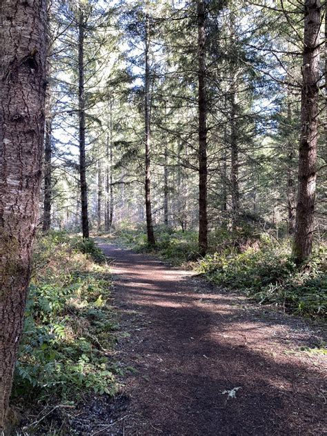Nisqually State Park — Washington Trails Association