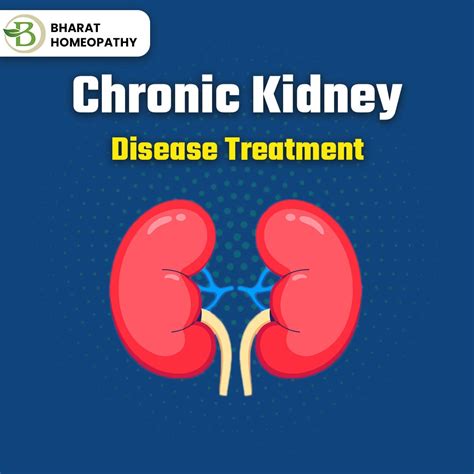 Treatment for kidney failure: Natural Medication To Manage Renal Health Without Dialysis | by ...
