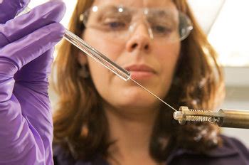 Image result for Positive Control vs Negative Control Examples