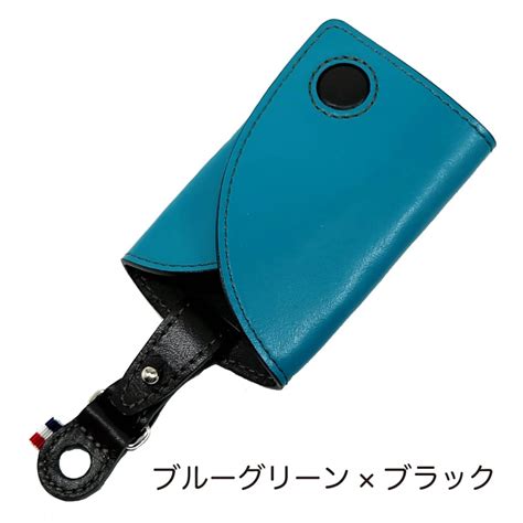 aile nouveau (ルノー、アルピーヌ専用カードキーケース） | ensu products