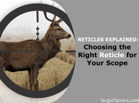 Image result for Scope Reticles Explained