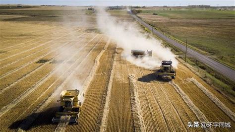 对澳洲大麦做反倾销调查 中共被疑政治报复 | 澳大利亚大麦 | 澳大利亚粮食种植协会 | 中国商务部 | 大纪元