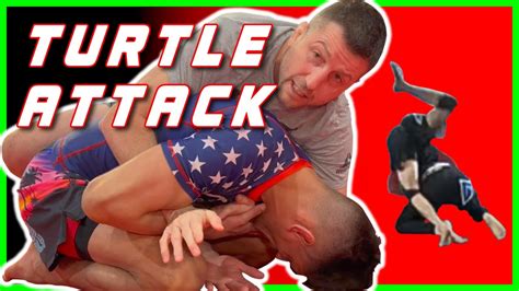 Image result for Turtleback Position