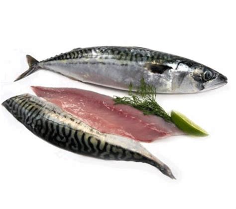 Fish Products || Perez Frozen Foods || Ghana’s Leading Importer ...