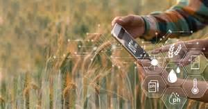 Indore News: E-Token System Placed For Fertiliser Distribution