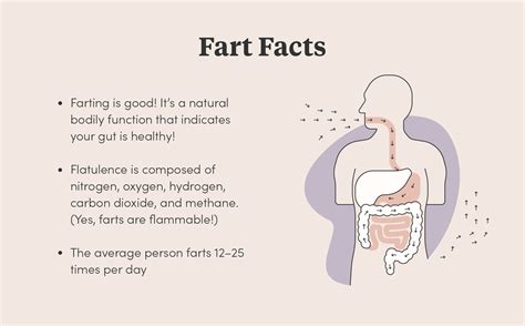 What Happens When You Fart