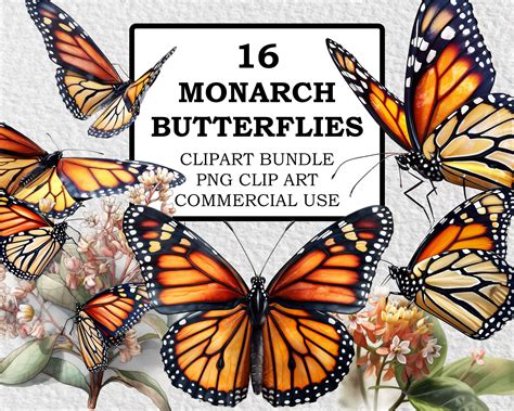 Clipart Monarch Butterfly
