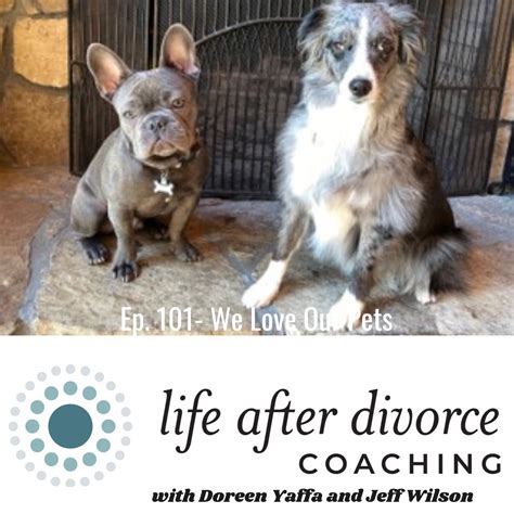 Furry Sidekicks & Divorce: How Pets Help Us Heal - Life After Divorce ...