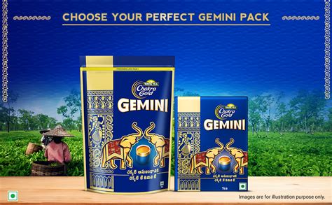 Tata Tea Gemini
