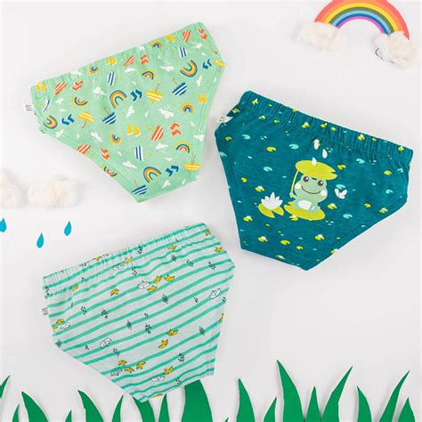 Young Boy Briefs |3 Pack (Rainy Poppins) – mumma.com
