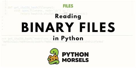 Image result for FTP Storbinary Python