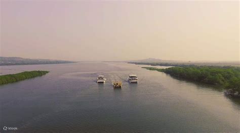 Mandovi River Party Cruise in Goa, India - Klook India