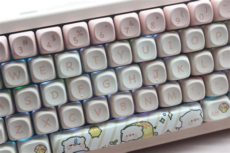 Cmokifuly MOA Profile Keycaps,Cute Keycaps Piglets Custom India | Ubuy