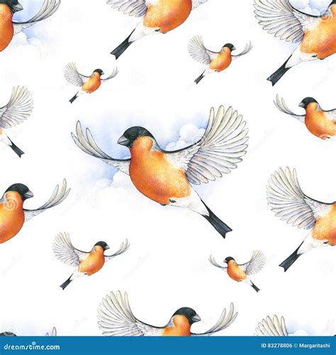 Bird Soaring Stock Illustrations - 3,720 Bird Soaring Stock ...