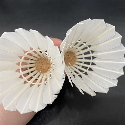 Lining ShuttleCock 的图像结果