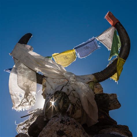 Travel Adventure Photography 的图像结果