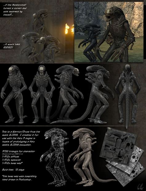 Image result for Alien Halo