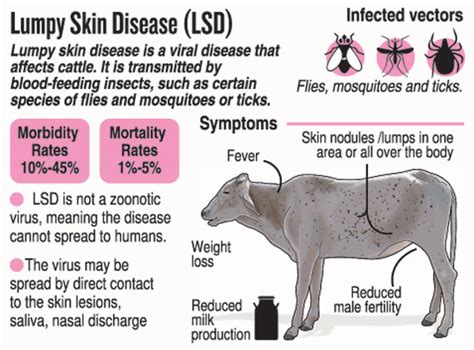 patna lumpy virus outbreak cattle deaths in paliganj naubatpur samples ...
