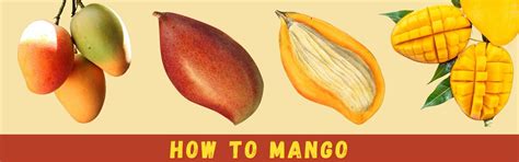 Image result for Mango Production Script Script