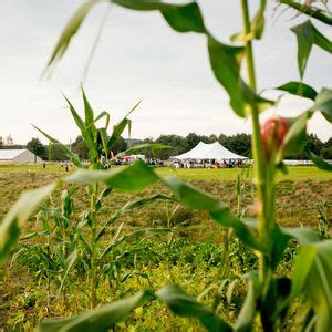 Barn Fest @ Hurricane Valley Farm, Hurricane Valley Farm, La Verkin, 6 ...