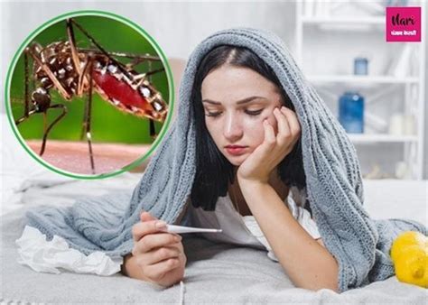 मानसून में चिकनगुनिया होने का ज्यादा खतरा,जानें इसके लक्षण व बचाव ...