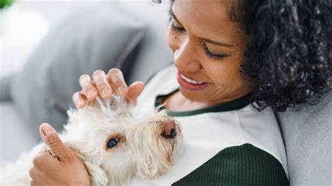 Madison at Greenwood | Apartments In Greenwood, IN