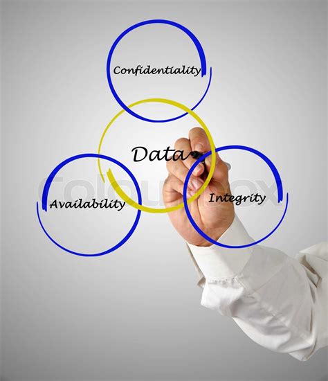 Data Management Principles 的图像结果