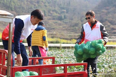 桂林银行百色隆林支行：主动担当 携手爱心企业开展蔬菜购销活动