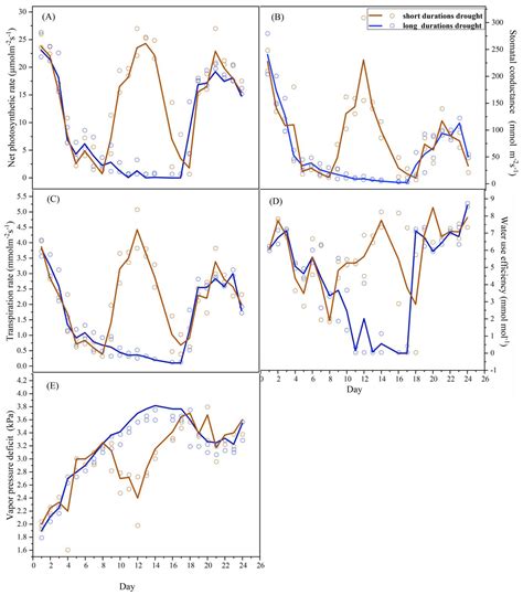 Impacts of Drought and Rehydration Cycles on Isoprene Emissions in ...
